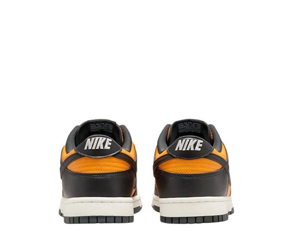 Sneaker Nk Dunk Low Retro Sundial Anthracite
